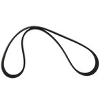 Serpentine Belt Main Image