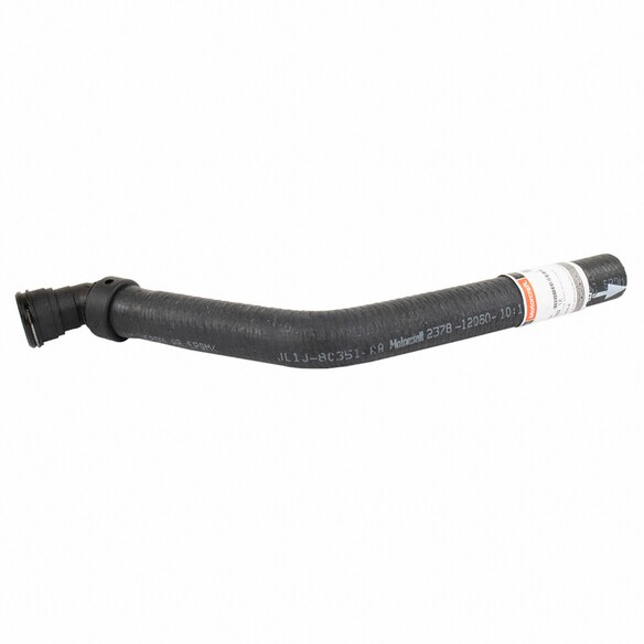 Radiator Coolant Hose - 5.4L Main Image