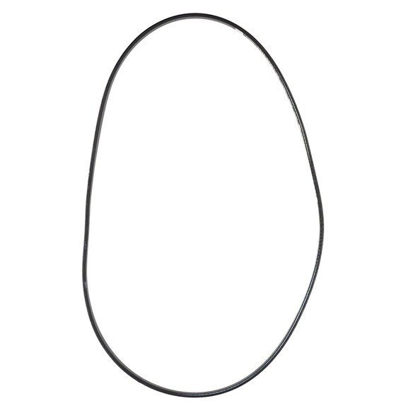 559290.jpg