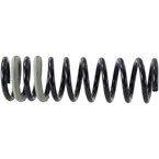 Coil Spring - Rear Main Image