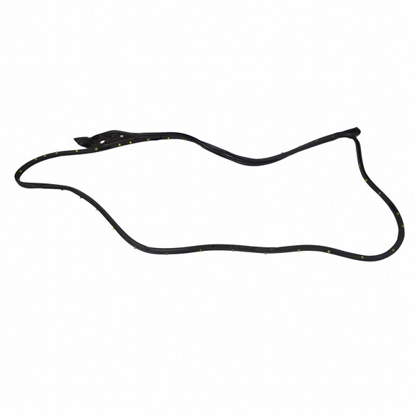 Door Seal Weatherstrip - Left, Front (Police) Main Image