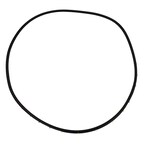 Door Seal Weatherstrip - Left, Front (Police) Main Image