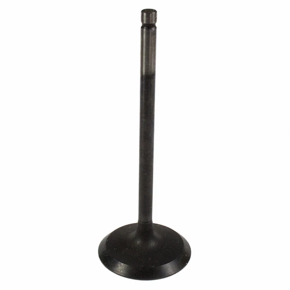 Engine Intake Valve - Inlet 3.5L Main Image