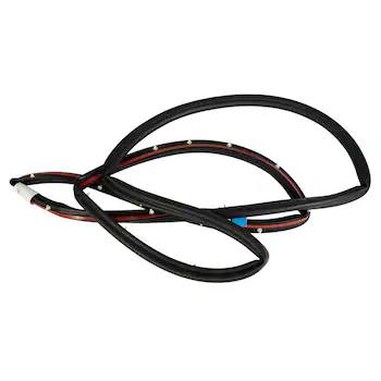 Door Seal Opening Weatherstrip - Right, Rear