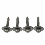 Tailgate Gap Cover Screw - 4.2 x 22MM, Center Main Image