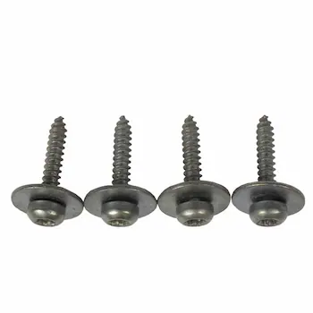 Tailgate Gap Cover Screw - 4.2 x 22MM, Center