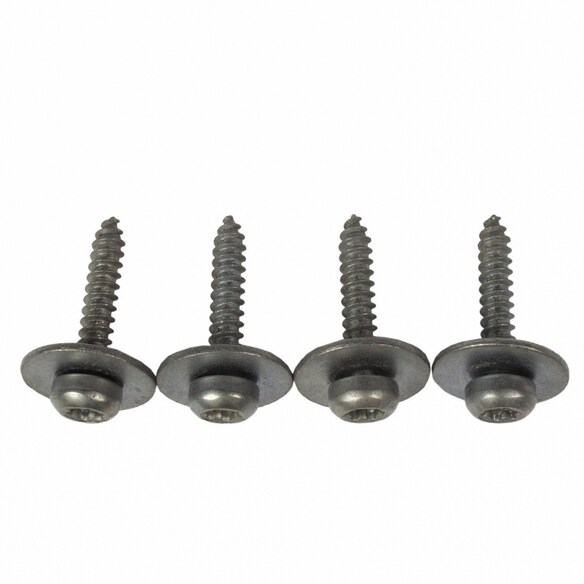 Tailgate Gap Cover Screw - 4.2 x 22MM, Center Main Image
