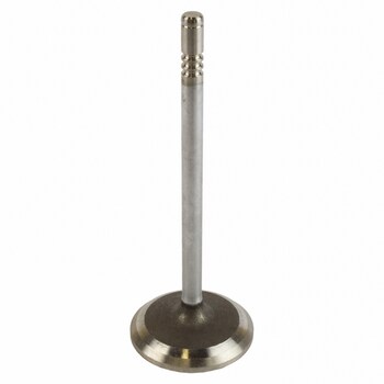 Engine Intake Valve - Inlet