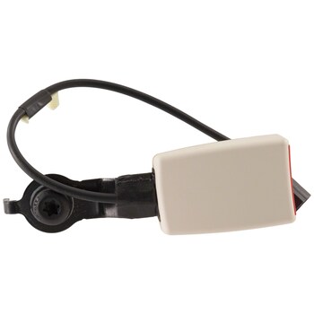 Seat Belt - Left, Rear