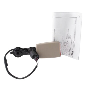 Seat Belt - Right, Rear