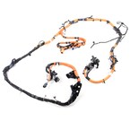 Wiring LAMPS - Rear Main Image