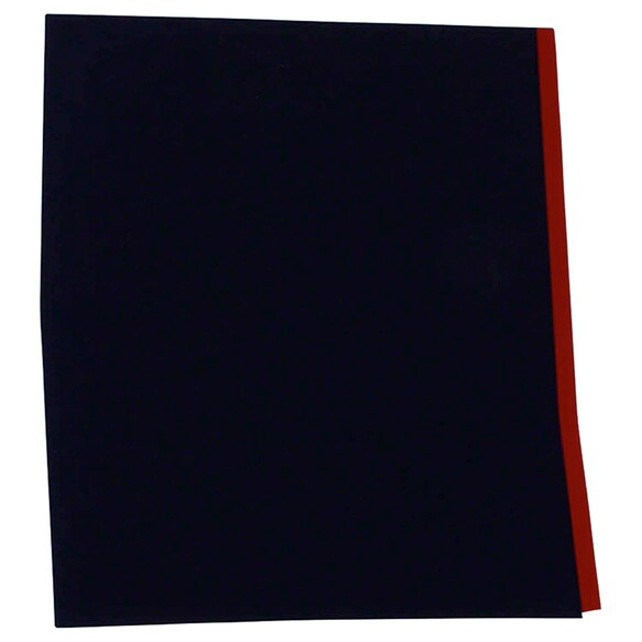 Bumper Decal Stripe Sticker - Right Main Image