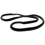 Door Seal Weatherstrip - Left, Rear, Outer Main Image