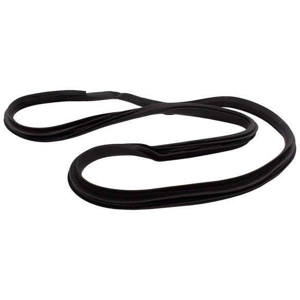 Door Seal Weatherstrip - Left, Rear, Outer Main Image