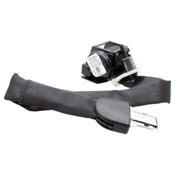 Seat Belt Lap and Shoulder - Right, Rear