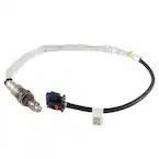 Oxygen Sensor HEGO - Right Main Image