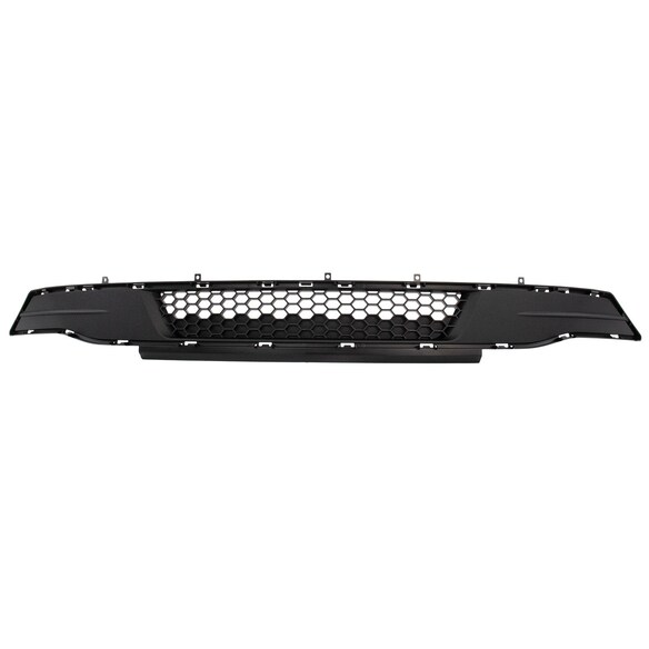 Bumper Grille - Front Main Image