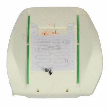 Seat Back Cushion Pad - Left, Front