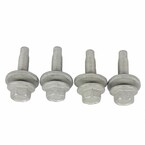Door Hinge Bolt Fender Rail - M8 X 25MM Main Image