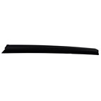 Door Window Belt Weatherstrip - Left, Rear Main Image