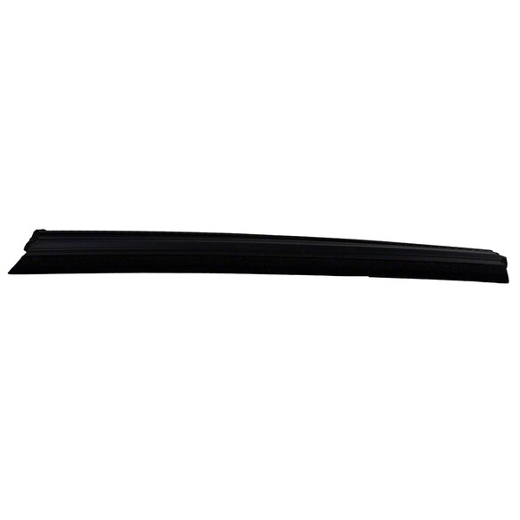 Door Window Belt Weatherstrip - Left, Rear Main Image