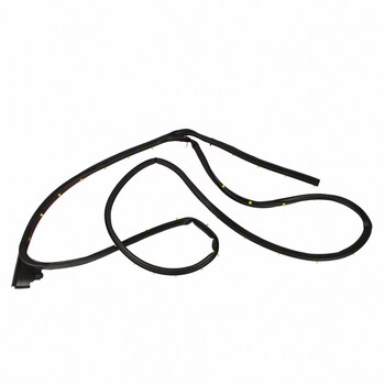Door Seal Weatherstrip - Right, Rear