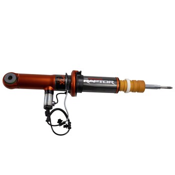 Suspension Strut Shock Absorber - Right, Front