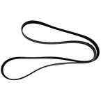 Serpentine Belt - 5.0L Main Image