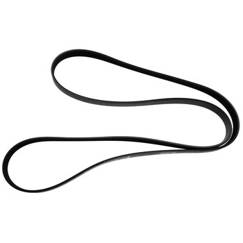 Serpentine Belt - 5.0L