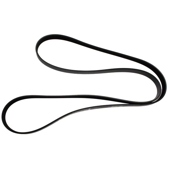 Serpentine Belt - 5.0L Main Image