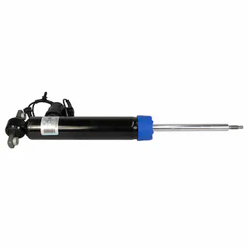 Suspension Shock Absorber - Left, Rear