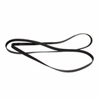 Serpentine Belt Main Image
