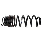 Coil Spring - Rear Main Image