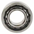 Manual Transmission Input Shaft Bearing (6-MT) Main Image