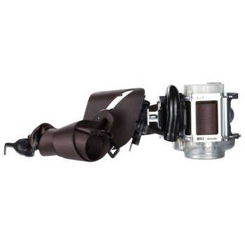 Seat Belt Lap and Shoulder - Right, Rear