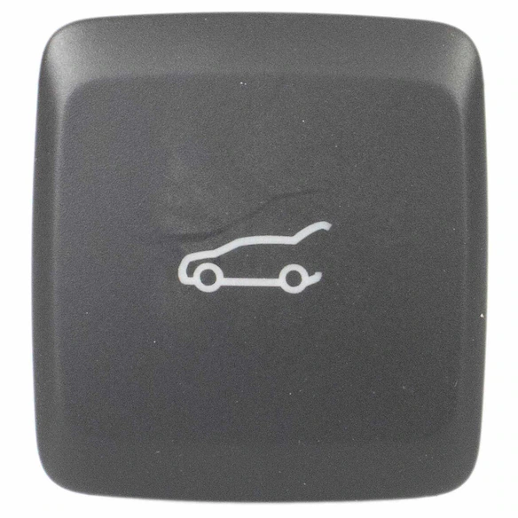 Trunk Lid Release Switch Main Image
