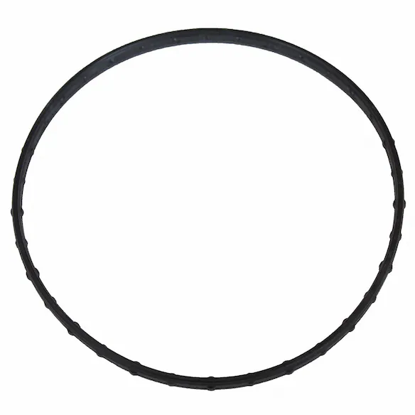Engine Water Pump Gasket - 6.4L Main Image