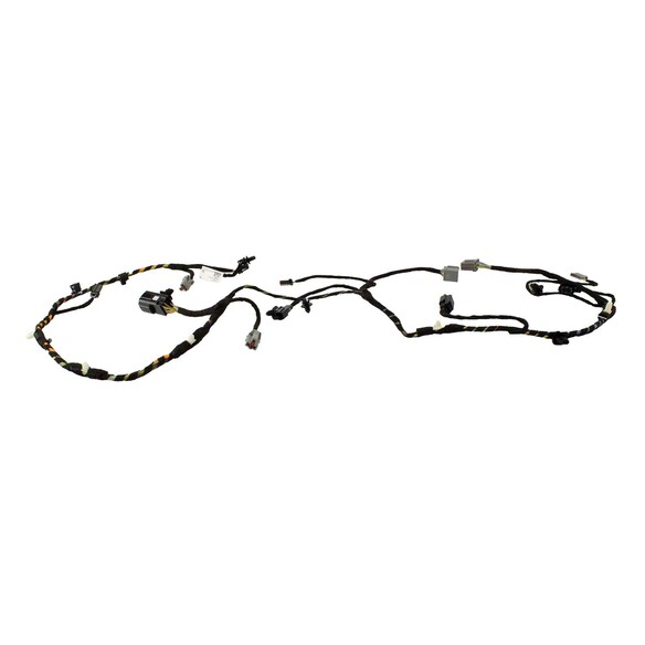 559321.jpg