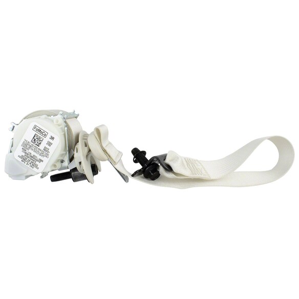 Seat Belt Lap and Shoulder - Right, Rear Main Image