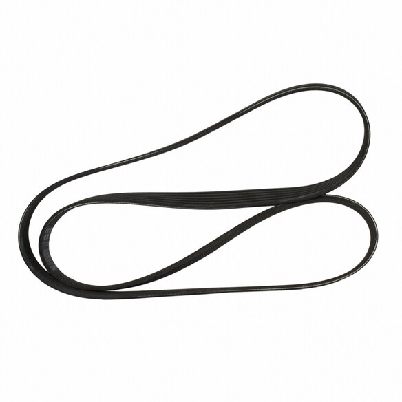 Serpentine Belt - 1.6L Main Image