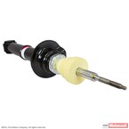 Suspension Shock Absorber - Front 22" X 9 Polish Forged Whl Main Image
