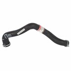 Radiator Coolant Hose - 1.6L Main Image