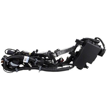 Wiring - 5.0L (Dual Exhaust)