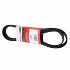 Serpentine Belt - 5.0L Main Image