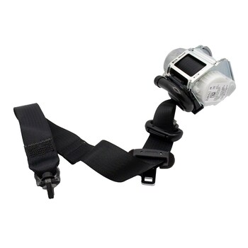 Seat Belt Lap and Shoulder - Right, Rear