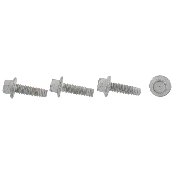 Screw Door Check Bolt - M6 X 20MM Main Image