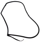 Door Seal Weatherstrip - Right, Rear Main Image