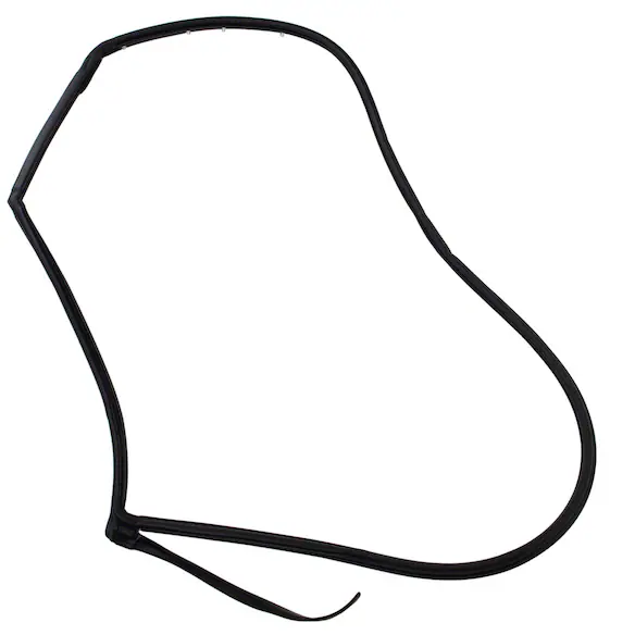 Door Seal Weatherstrip - Right, Rear Main Image