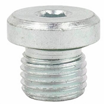 Plug Blanking Threaded