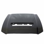 Hood Panel Extension (Shelby) Main Image